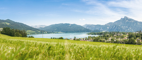 Vista panoramica su Camp MondSeeLand in Austria, con prati verdi, lago azzurro e montagne.