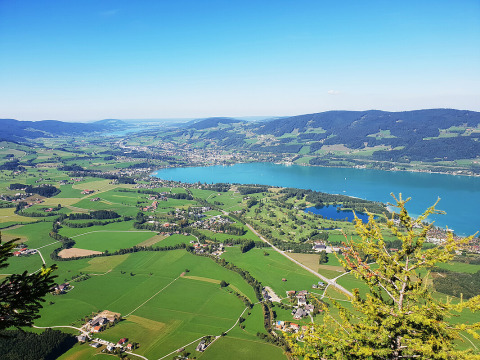 Uitzicht op groene velden, het Mondsee meer en Camp MondSeeLand - Kampeerhutten Oostenrijk onder blauwe lucht.
