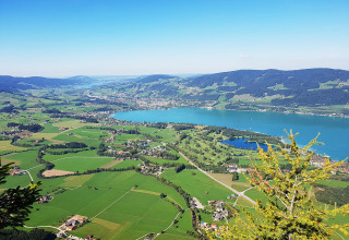 Vue sur des champs verts, le lac Mondsee et Camp MondSeeLand - Kampeerhutten Autriche sous un ciel bleu clair.