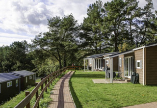 Glamping au Vakantiepark Havelberge avec mobil-homes Ocala Premium et vue panoramique sur la nature.