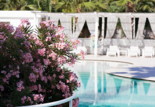 Blühende rosa Sträucher am Pool mit weißen Liegen, Villa Alwin Beach Resort – Luxuszelt in Le Marche.