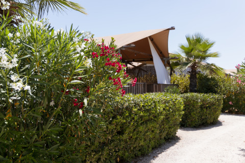 Glamping de lujo en Villa Alwin Beach Resort con tienda de campaña moderna y vegetación en Le Marche.
