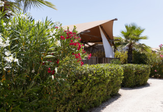 Glamping di lusso al Villa Alwin Beach Resort con lodge-tenda moderna, palme e fiori a Le Marche.
