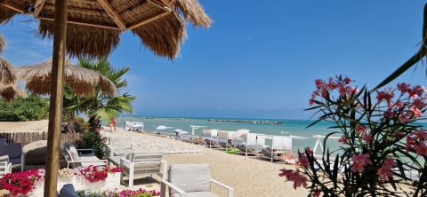 Udsigt over en luksuriøs strand med liggestole, parasoller og blomster ved Villa Alwin Beach Resort i Le Marche.