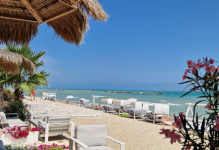View of a luxury beach with loungers, umbrellas, and flowers at Villa Alwin Beach Resort in Le Marche.