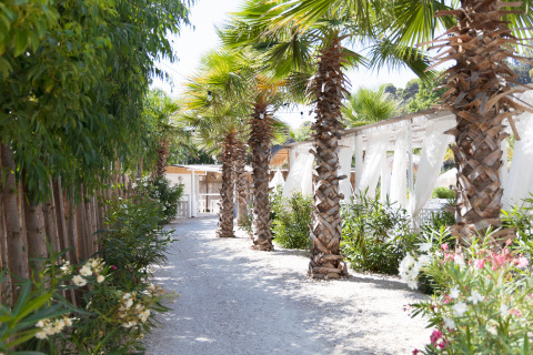 Weg gesäumt von Palmen und Pflanzen im Villa Alwin Beach Resort, Luxus-Lodgetenten direkt am Strand.