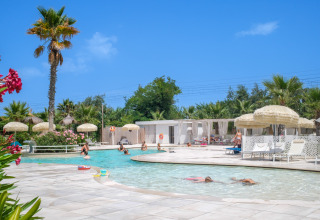Familievriendelijk zwembad met parasols en palmbomen bij Villa Alwin Beach Resort aan het strand in Le Marche.