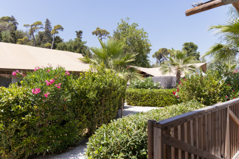 Luxuriöse Glamping-Zelte im Grünen im Villa Alwin Beach Resort, Le Marche, Italien, nahe dem Strand.