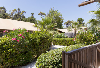 Luxuriöse Glamping-Zelte im Grünen im Villa Alwin Beach Resort, Le Marche, Italien, nahe dem Strand.