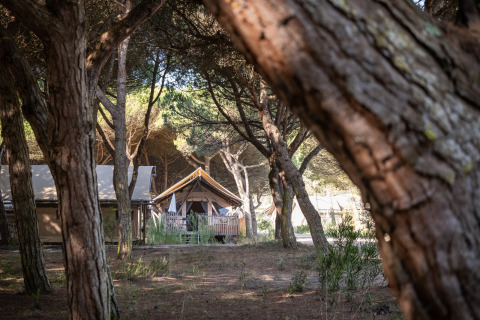 Glamping-indkvartering i skoven ved Huttopia Lagoa de Óbidos i Portugal, set mellem træerne.