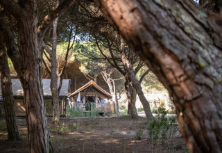 Alojamiento glamping en Huttopia Lagoa de Óbidos, Portugal, rodeado de árboles en un entorno natural.