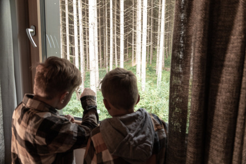 Twee kinderen kijken uit het raam naar het bos tijdens een glampingverblijf in Boomhut, Wander- & Wellnesshotel Gassner.