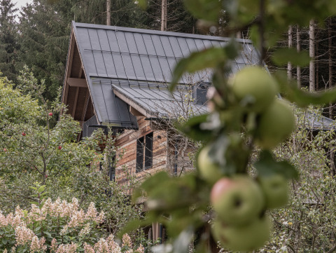 Glamping-Baumhaus im Wald bei Wander- & Wellnesshotel Gassner - Boomhut Oostenrijk, umgeben von Apfelbäumen.