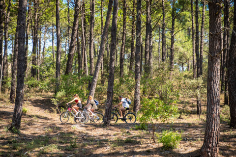 Gæster cykler gennem en fyrreskov nær Huttopia Lac de Carcans - Glamping Aquitaine, omgivet af natur.