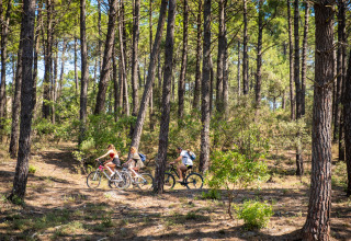 Huéspedes pedaleando por un bosque de pinos en Huttopia Lac de Carcans - Glamping Aquitaine, rodeados de naturaleza.
