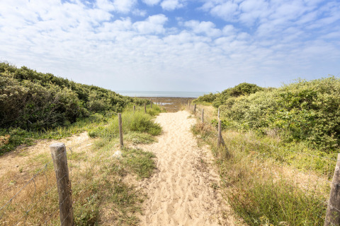 Sandpfad durch grüne Büsche führt zum Strand bei Huttopia Oléron les Chênes Verts Glamping Nouvelle Aquitaine.