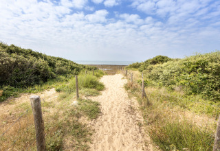 Sentier de sable bordé de verdure menant à la plage de Huttopia Oléron les Chênes Verts, glamping Nouvelle Aquitaine.