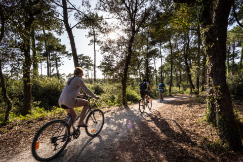 Fietsers op een bospad nabij Huttopia Oléron les Chênes Verts Glamping, Nouvelle Aquitaine, Frankrijk.