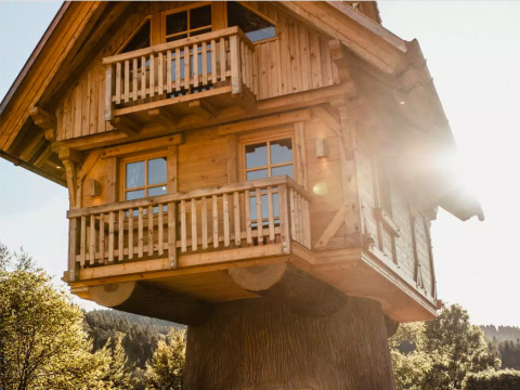 Alloggio glamping in casa sull’albero nella Foresta Nera, 's'Baumhaus Dörfle', illuminato dal sole.