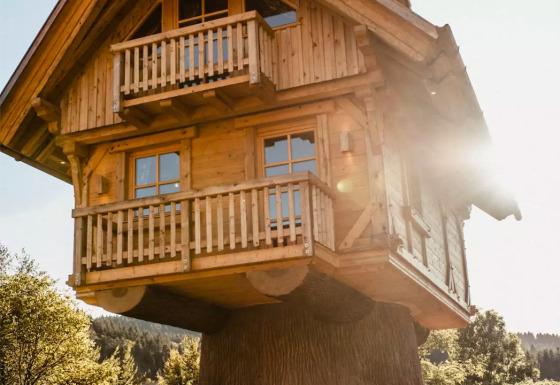 Glampinghuisje in een boomhut in het Zwarte Woud, 's'Baumhaus Dörfle', met zonlicht en bomen.