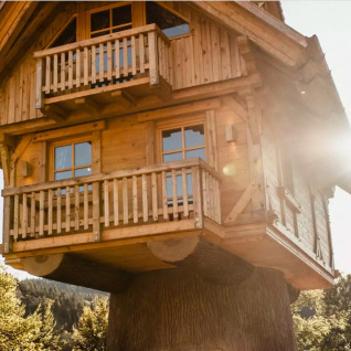 Boomhut glamping accommodatie in het Zwarte Woud, 's'Baumhaus Dörfle', badend in zonlicht.