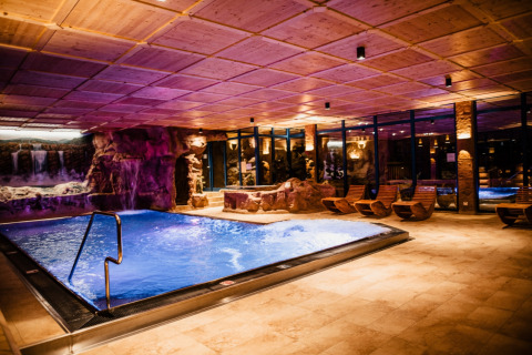 Espace spa intérieur avec piscine, chaises longues et cascade chez s'Baumhaus Dörfle - Boomhutten Zwarte Woud glamping.