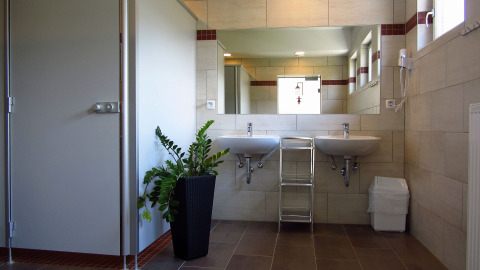 Modern bathroom with two sinks, large wall mirror, and a green plant at Camping Putterersee in Austria.