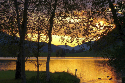 Solnedgang over søen ved Camping Putterersee med træer og bjerge i baggrunden, perfekt til glamping.