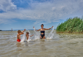 En familie nyder at lege i søen ved Strandcamping Podersdorf am See - Tiny Houses, Østrig, om sommeren.