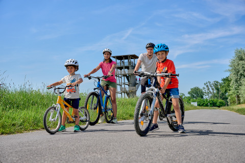 A family of four rides bicycles on a path near Strandcamping Podersdorf am See - Tiny Houses, Austria.