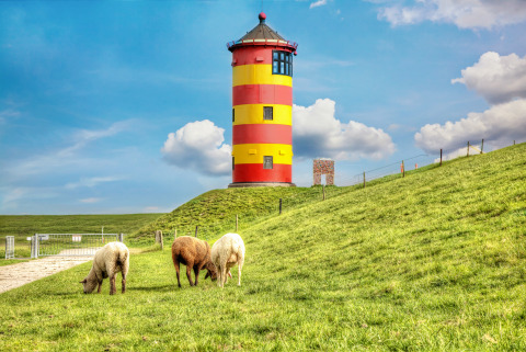 Phare rayé coloré avec des moutons sur la colline herbeuse près de Tinyhouse KLEINES EMS-IDYLL, Emsland.