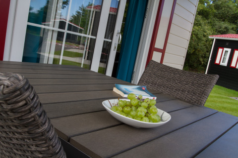 Terrazza esterna al Nordsee Camp-Norddeich Chalet in Oost-Friesland con uva, libri e sedie di vimini.