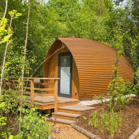 Una cabaña de glamping en Glamping Resorts Biosphere Bliesgau, rodeada de vegetación y bosques verdes.