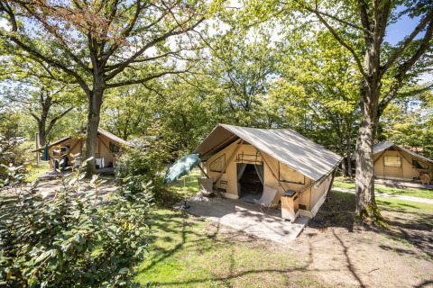 Glamping accommodatie bij Huttopia Versailles - Glamping Île de France met safaritenten tussen de bomen.