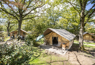 Hébergement glamping à Huttopia Versailles - Glamping Île de France avec tentes safari sous les arbres.