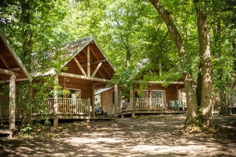 Træhytter midt i frodig skov ved Huttopia Versailles - Glamping Île de France, campingoplevelse i naturen.