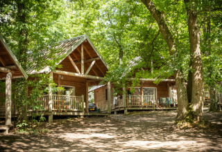 Cabañas de madera en un bosque frondoso en Huttopia Versailles - Glamping Île de France, camping natural.