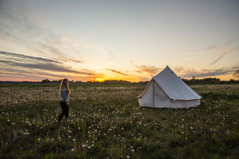 Vrouw wandelt naar een glampingtent op een veld bij zonsondergang bij Holmely - Glampingtenten Midden-Jutland.