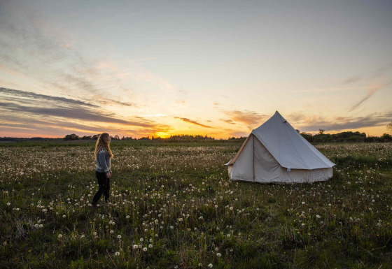 Vrouw loopt naar een glampingtent bij zonsondergang op een veld bij Holmely - Glampingtenten Midden-Jutland.