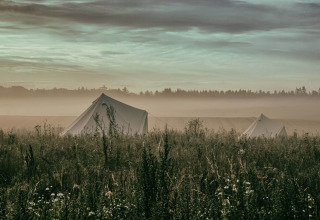 Two glamping tents in a misty Mid-Jutland meadow at dawn, offering a unique and serene camping retreat.