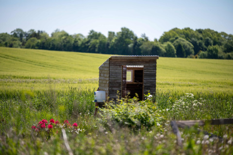 Cabaña de madera en campo verde en Holmely - Glampingtenten Midden-Jutland, naturaleza y camping.