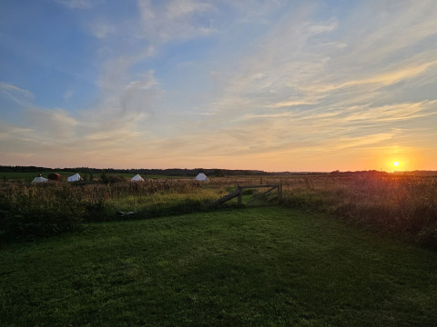 Puesta de sol sobre campo con tiendas glamping Holmely en Jutlandia Central. Puerta de madera delante.