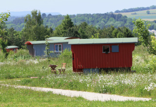 Alojamiento glamping colorido en Hofgut Hopfenburg con carromatos gitanos en un entorno verde de Baden-Württemberg.