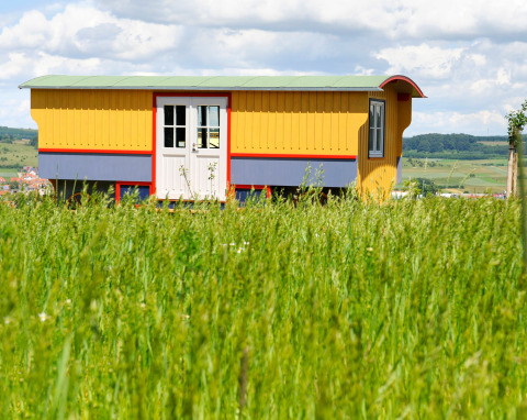 Carro zingaro colorato presso Hofgut Hopfenburg, sistemazione glamping nei campi del Baden-Württemberg.