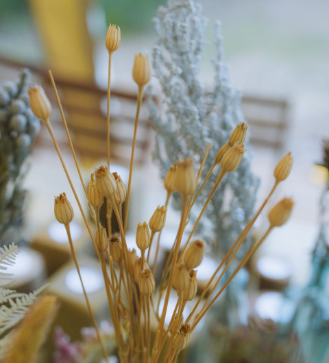 Gros plan sur des fleurs sauvages séchées en bouquet, capturé à Little Canvas Escape - Lodgetenten Ameland.
