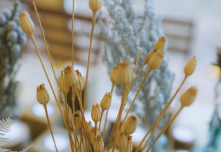 Close-up of dried wildflowers in a bouquet, captured at Little Canvas Escape - Lodgetenten Ameland glamping.