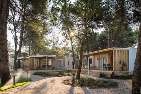 Moderne glamping-mobilhomes hos Falkenstein Premium Camping Zadar i Dalmatiens skovomgivelse ved solnedgang.