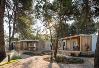 Hébergements glamping modernes chez Falkenstein Premium Camping Zadar dans un cadre boisé en Dalmatie.