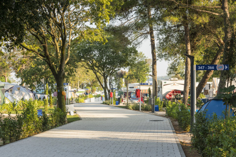 Rolig campingplads hos Falkenstein Premium Camping Zadar med moderne mobile homes i den dalmatiske natur.