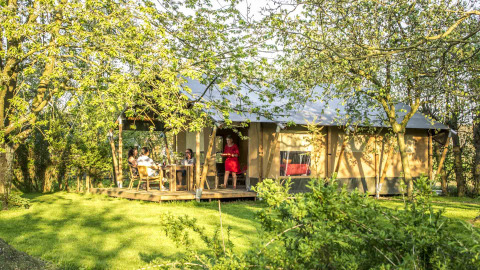 Safaritent glamping bij Voedselbron Graauw in Zeeland, Nederland, tussen groene bomen en ontspannen gasten.